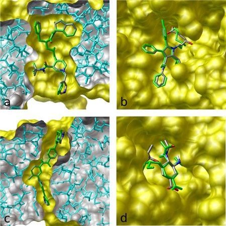 Figure 1. The image illustrates the results of flexible docking (green) superimposed on the crystal structures of (a) indinavir, (b) atorvastatin, (c) imatinib, and (d) oseltamivir bound to their respective targets. (source: AutoDock Vina (scripps.edu))