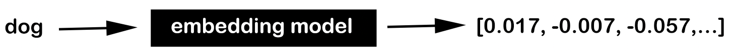 The word dog is sent to an embedding model and a list of floating point numbers is returned